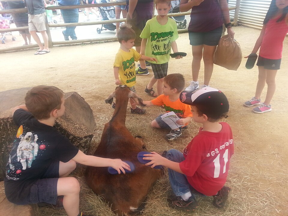 Kinderboerderij
