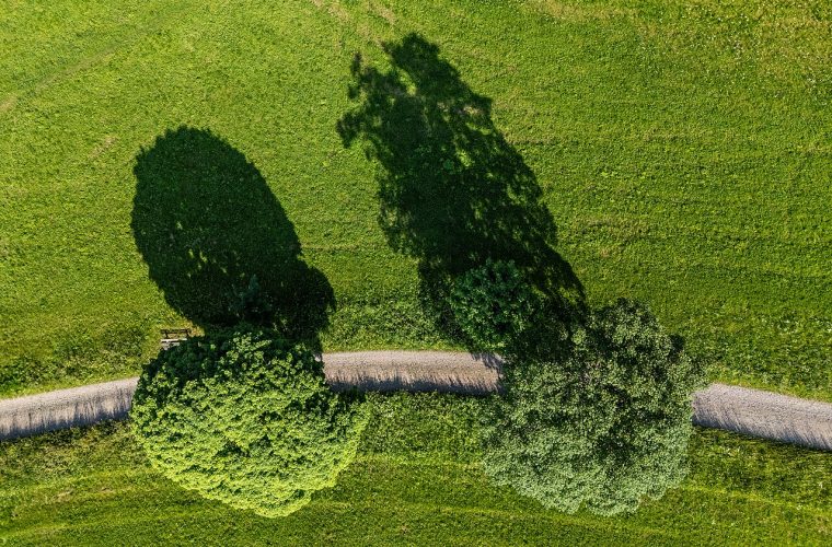 Betonnen bunker uit de Tweede Wereldoorlog, onderdeel van de Atlantikwall, gelegen achter Camping Janse in Zoutelande