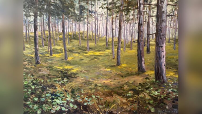 Expositie Jo Dumon Tak in Polderhuis — museum-expo in Zoutelande